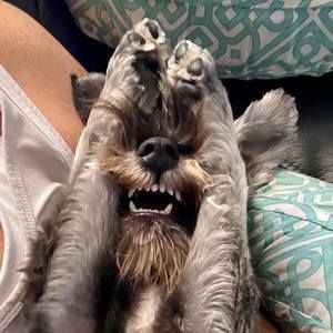 Meet your Posher, Lois